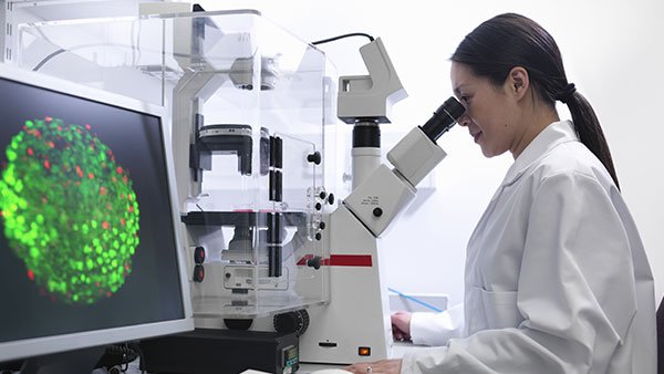 a person looking into a microscope